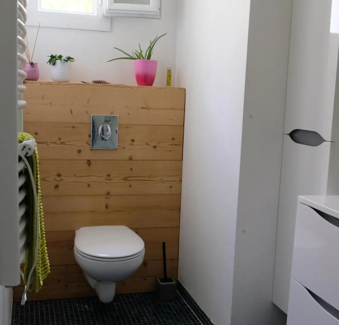 Appartement De Plein Pied Toulouse Nord Castelginest