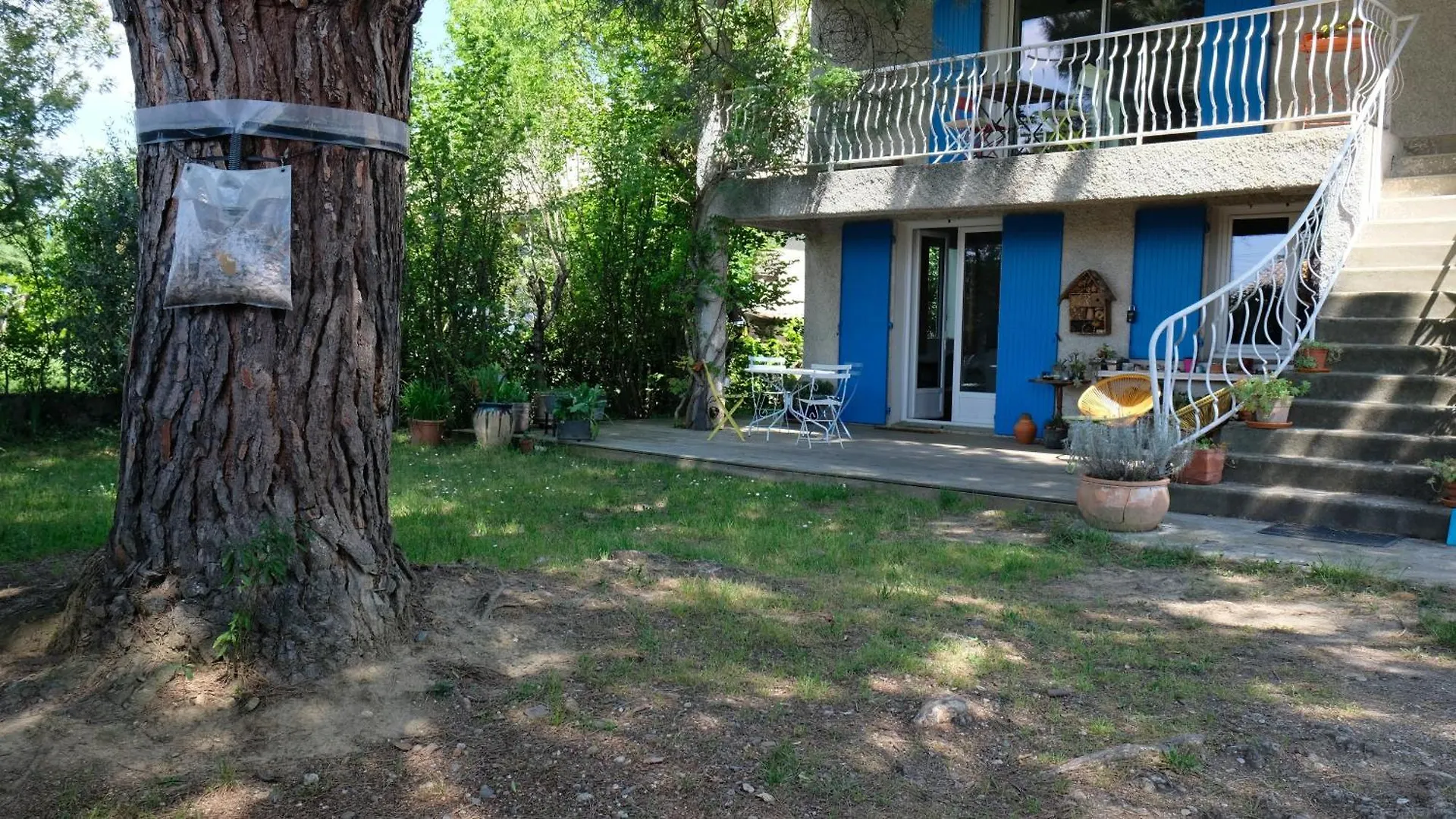 Appartement De Plein Pied Toulouse Nord Castelginest Apartment